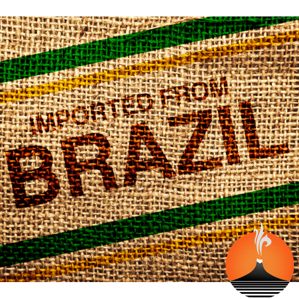 Brazilian Santos Decaf - Santorres Café