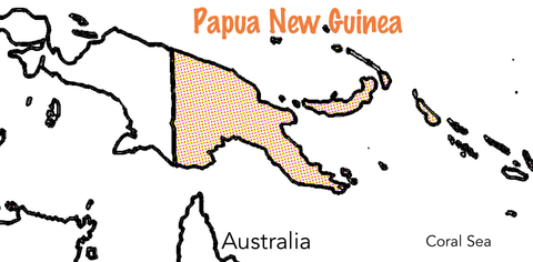 Papua New Guinea Plantation - Santorres Café